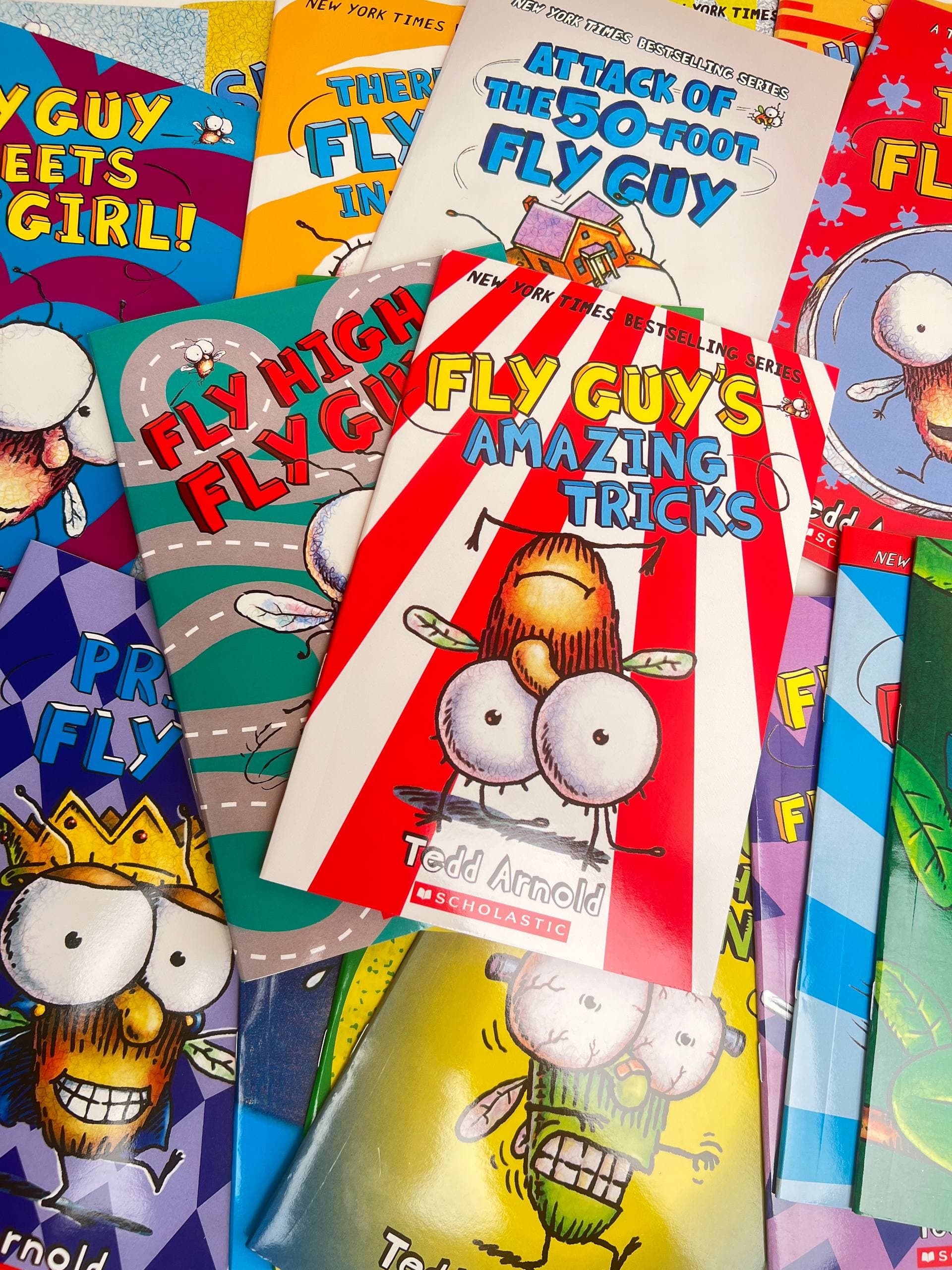 Fly Guy | Scholastic