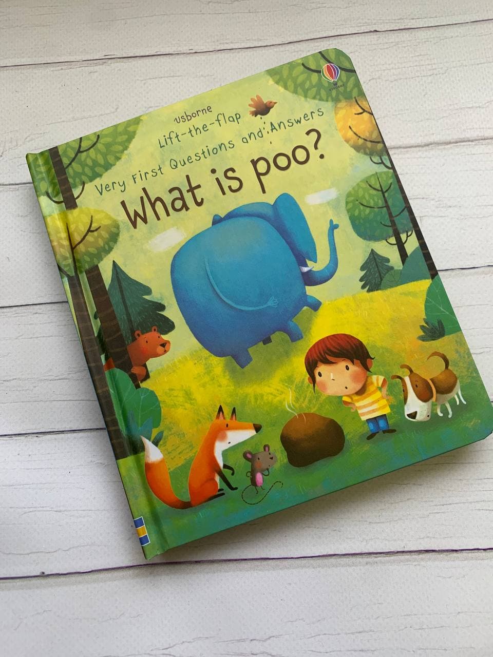 Very first Questions and Answers: WHAT IS POO?