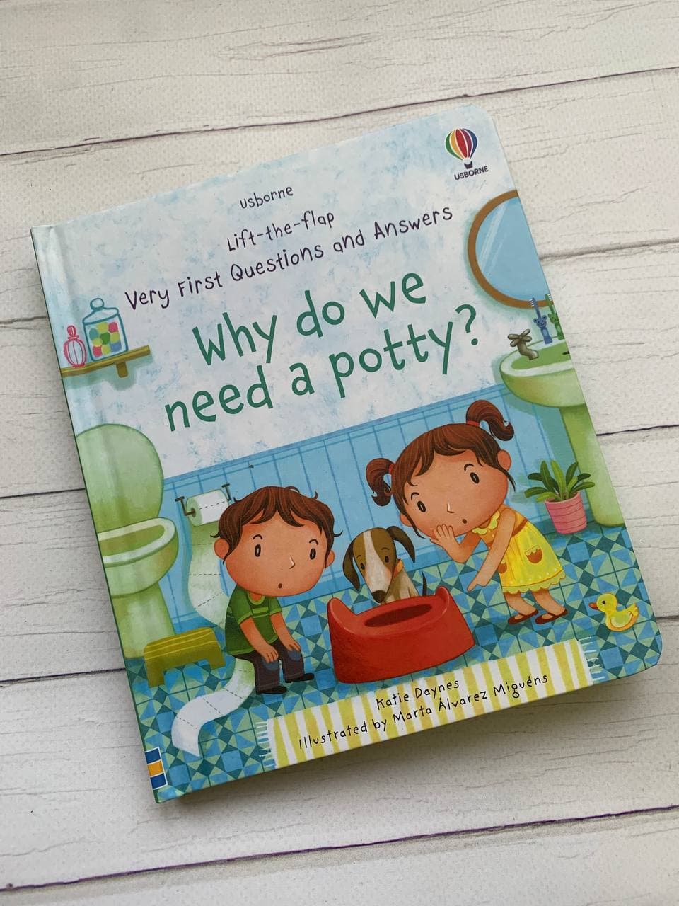 Very first questions and answers: WHY DO WE NEED A POTTY?