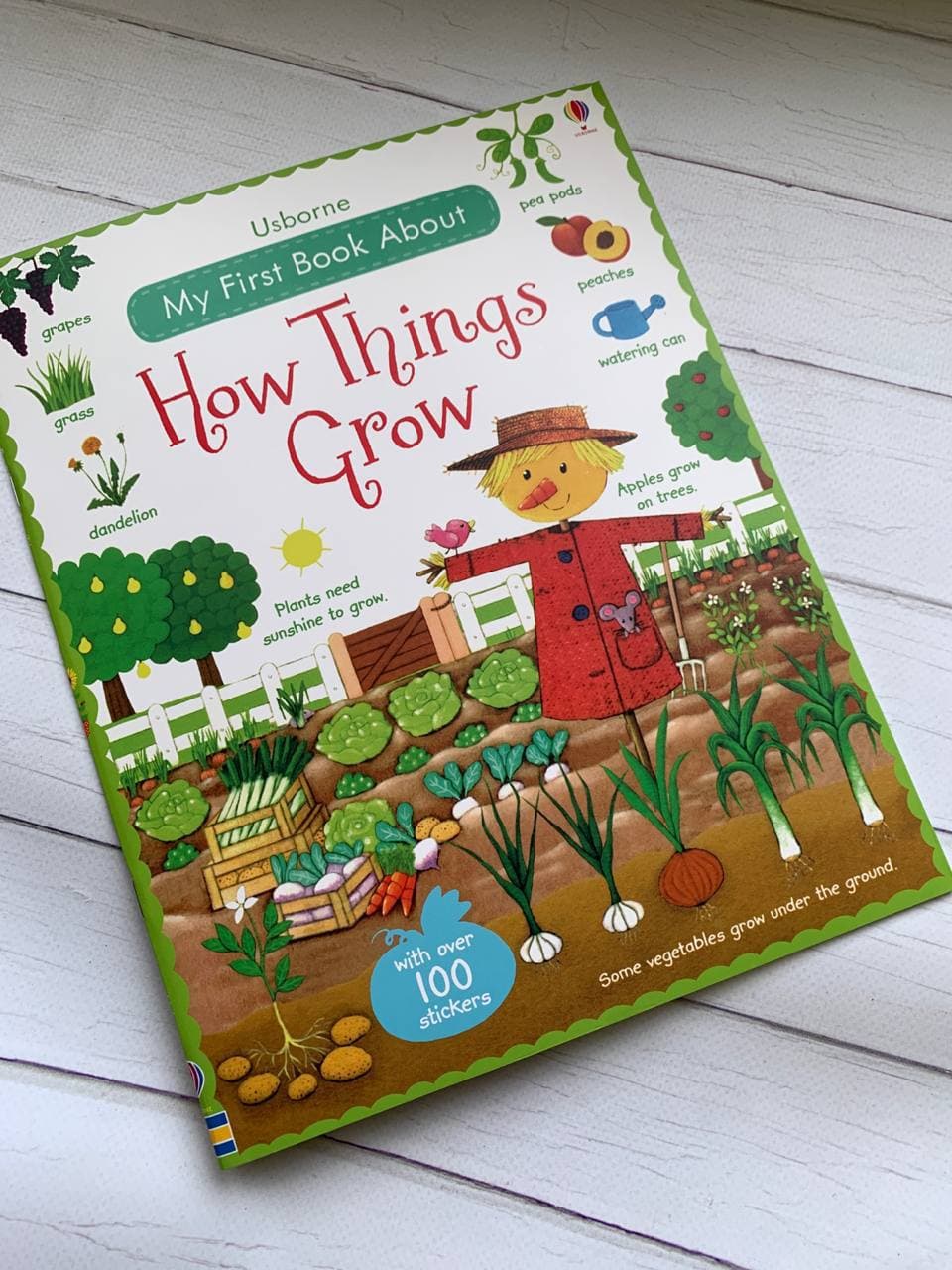 Ta’limiy Stiker kitoblar : How things grow