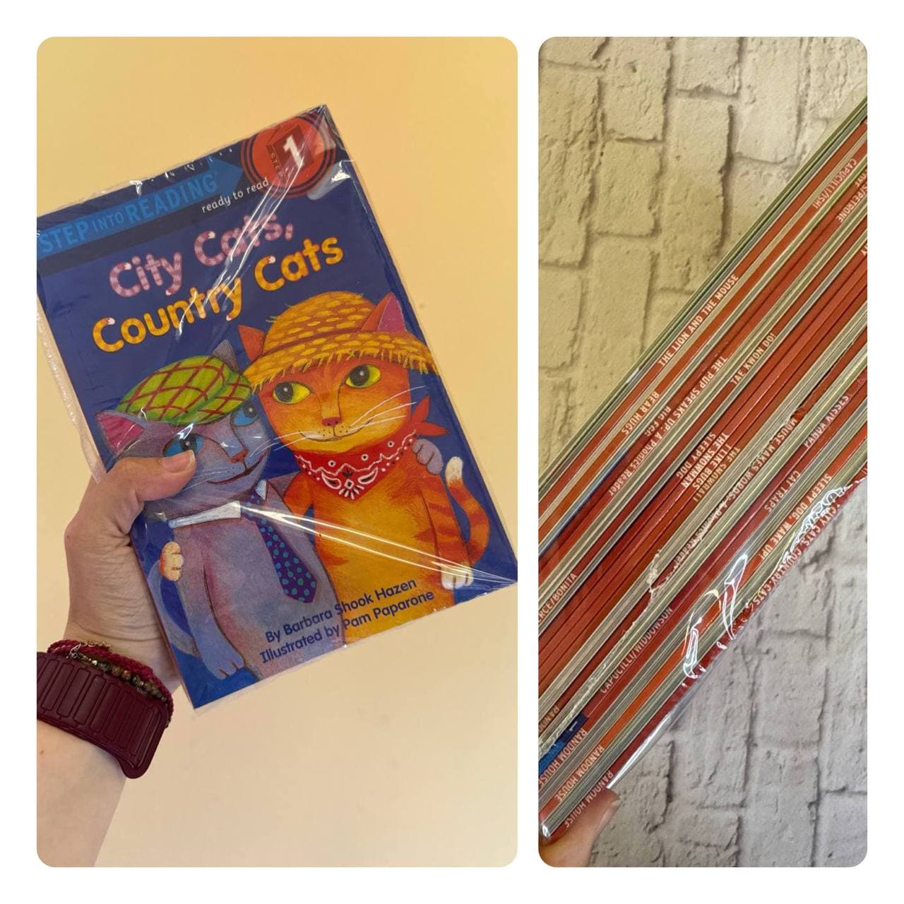 Step into reading 1