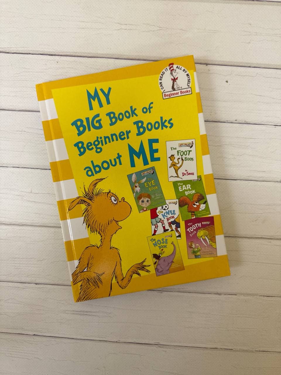 Dr Suess ABOUT ME
