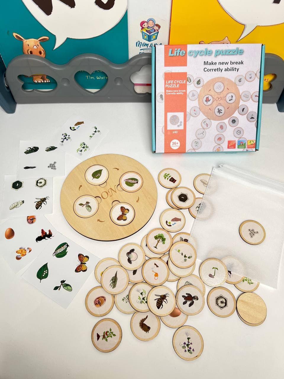 Life cycle puzzle 3+