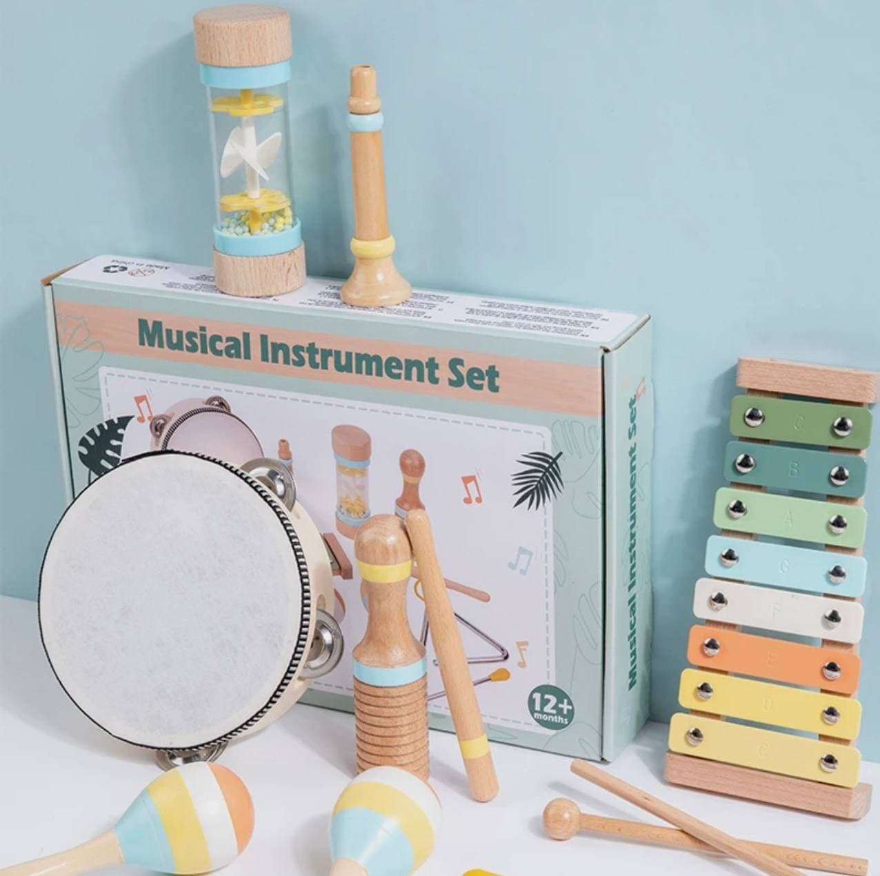 Musical Instrument Set 12oy+